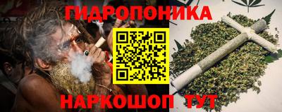 шишки Берёзовский