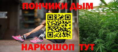 шишки Берёзовский