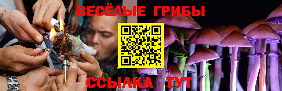 хочу наркоту  Галлюциногенные грибы ЛСД  Псилоцибиновые грибы мицелий  Вход с VPN  Кириши 